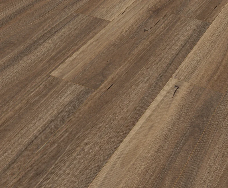Mercury Spotted Gum — Touch