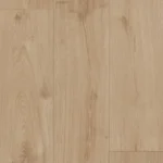 Urban Sand Oak
