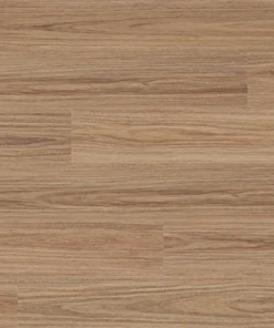 Andromeda Spotted Gum — Voyager