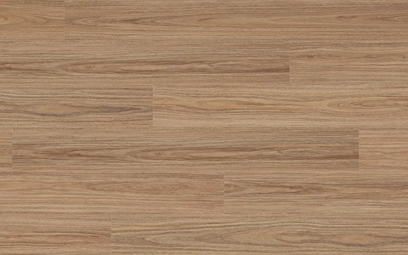 Andromeda Spotted Gum — Voyager