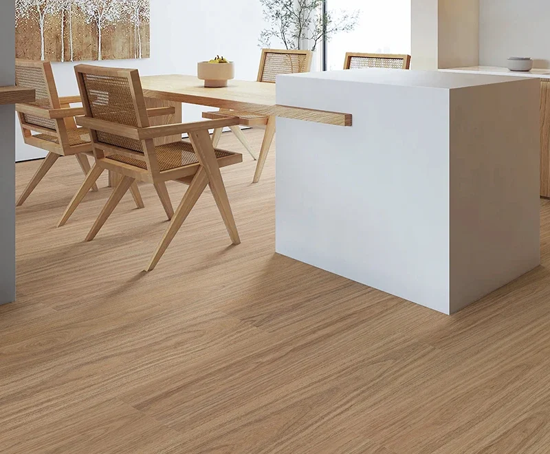 Andromeda Spotted Gum — Voyager