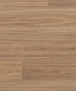 Andromeda Spotted Gum — Voyager