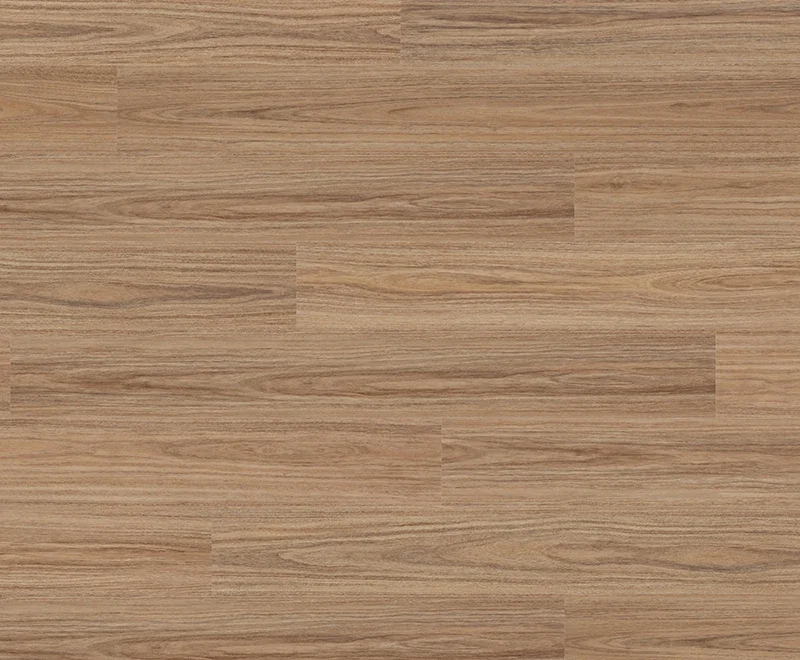 Andromeda Spotted Gum — Voyager