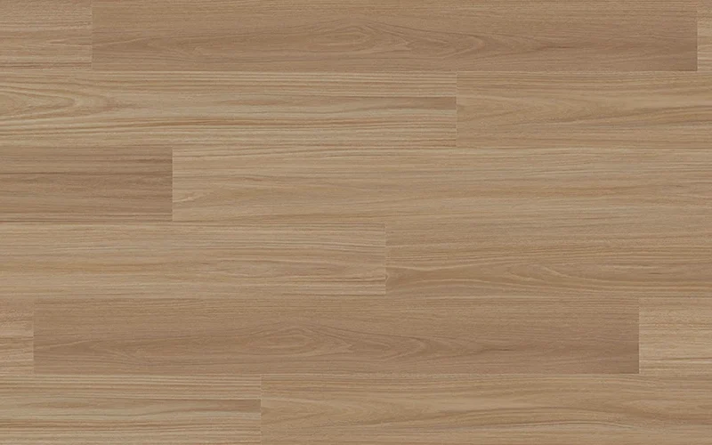 Antares Blackbutt — Voyager
