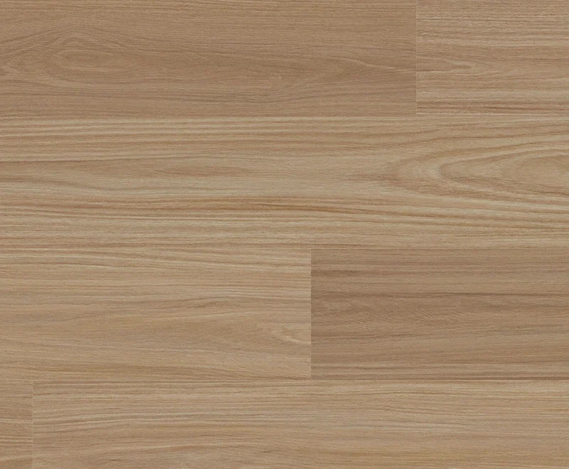 Antares Blackbutt — Voyager