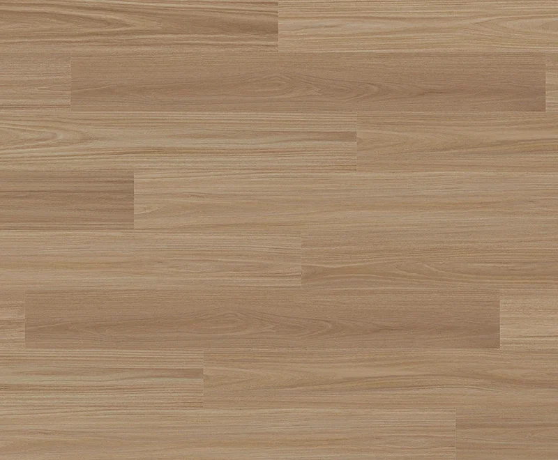 Antares Blackbutt — Voyager