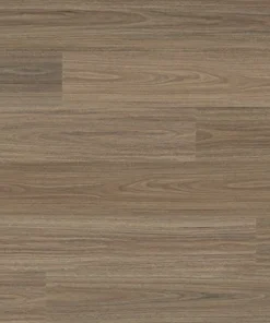 Antares Spotted Gum — Voyager