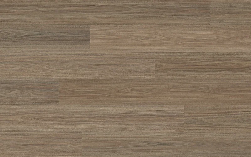 Antares Spotted Gum — Voyager