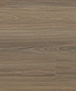 Antares Spotted Gum — Voyager