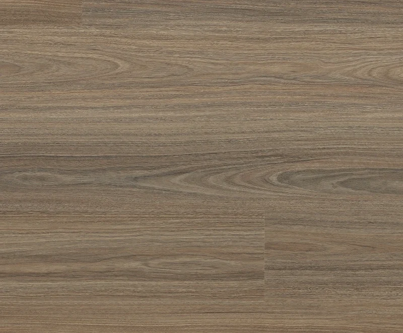Antares Spotted Gum — Voyager