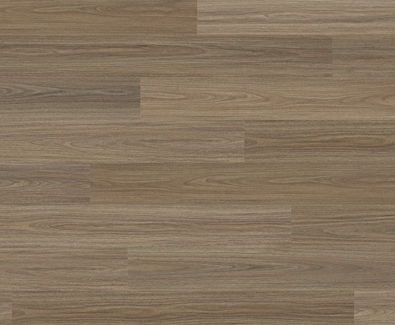 Antares Spotted Gum — Voyager