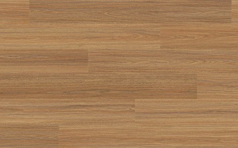 Orion Spotted Gum — Voyager