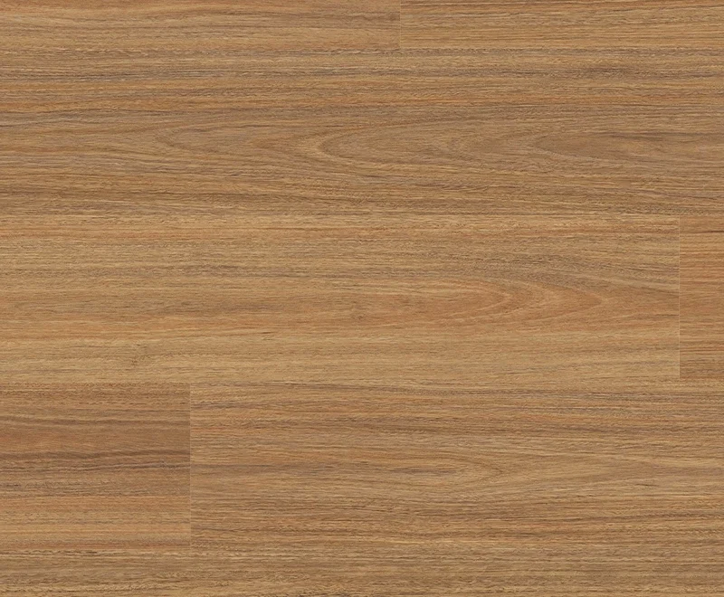 Orion Spotted Gum — Voyager
