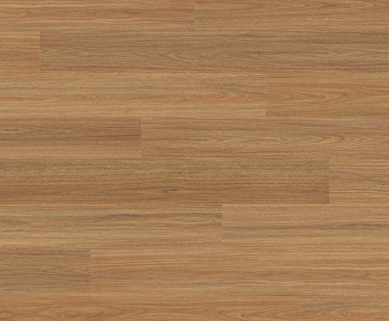 Orion Spotted Gum — Voyager