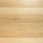 Coastal Blackbutt