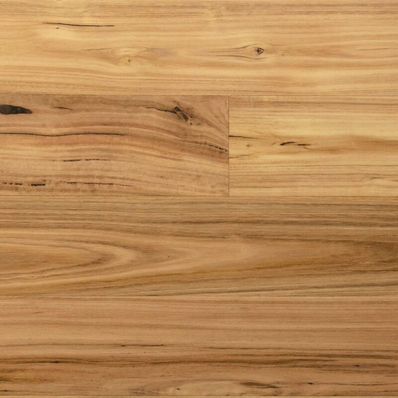 Tudorwoods Rustic Blackbutt engineered hardwood flooring Melbourne