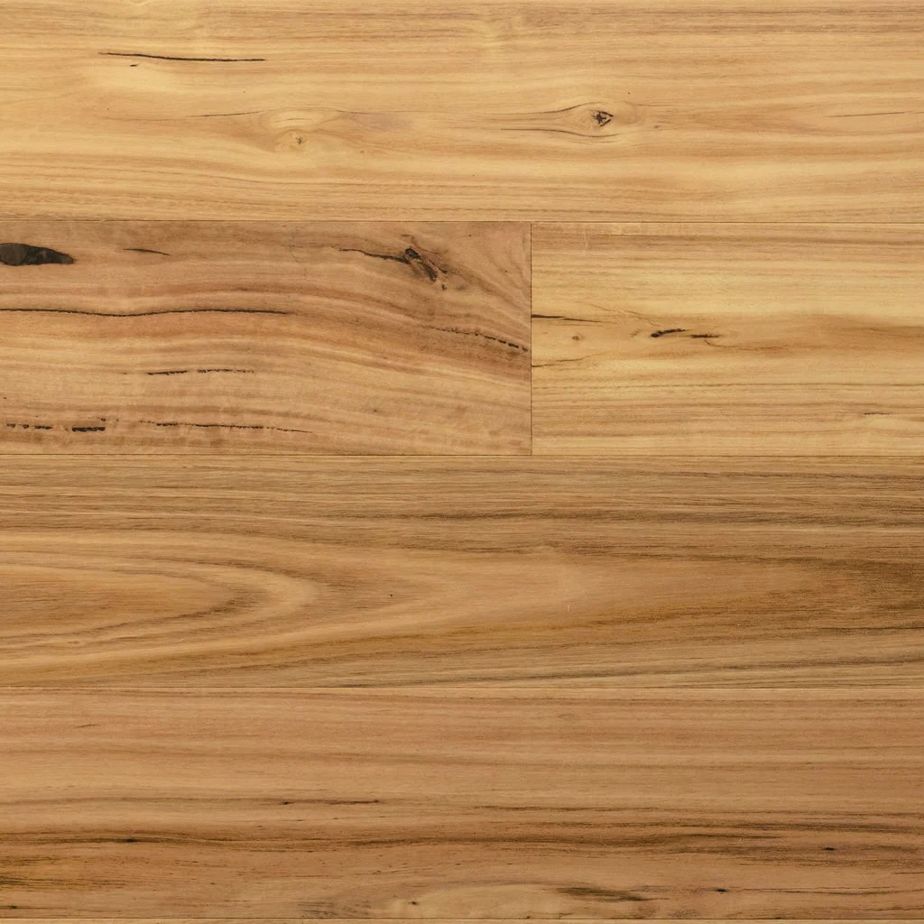 Tudorwoods Rustic Blackbutt engineered hardwood flooring Melbourne