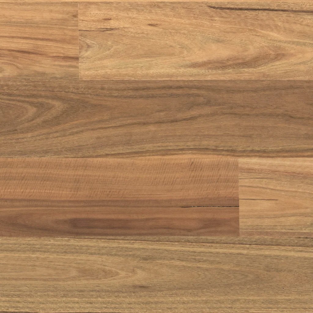 Tudorwoods Spotted Gum Smooth engineered flooring Melbourne