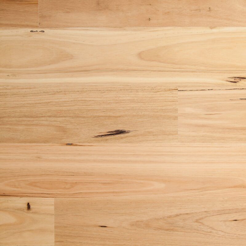 Tudorwoods Blackbutt Matte Brushed engineered timber flooring Melbourne