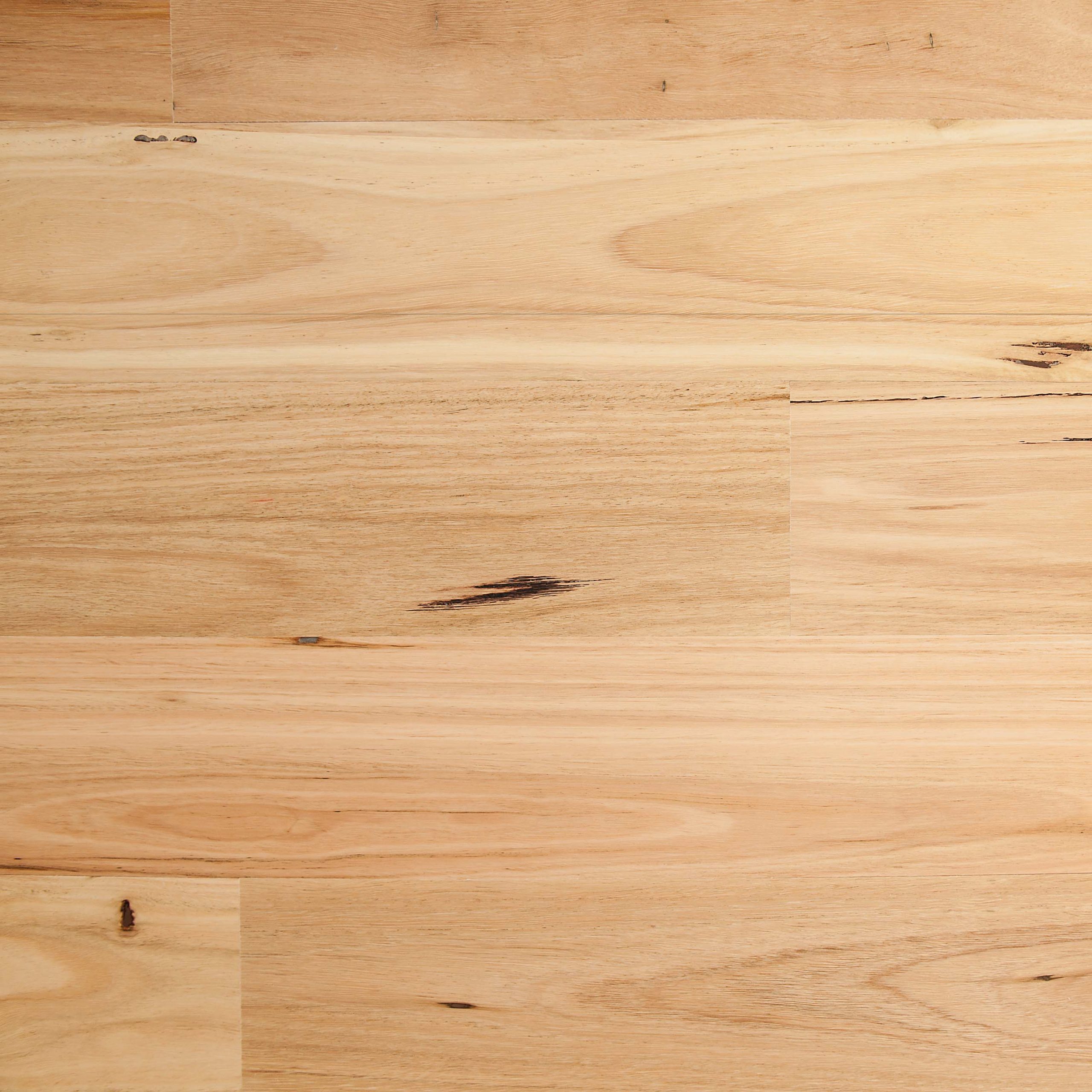 Tudorwoods Blackbutt Matte Brushed engineered timber flooring Melbourne
