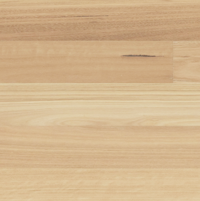 Tudorwoods Blackbutt Smooth engineered timber flooring Melbourne
