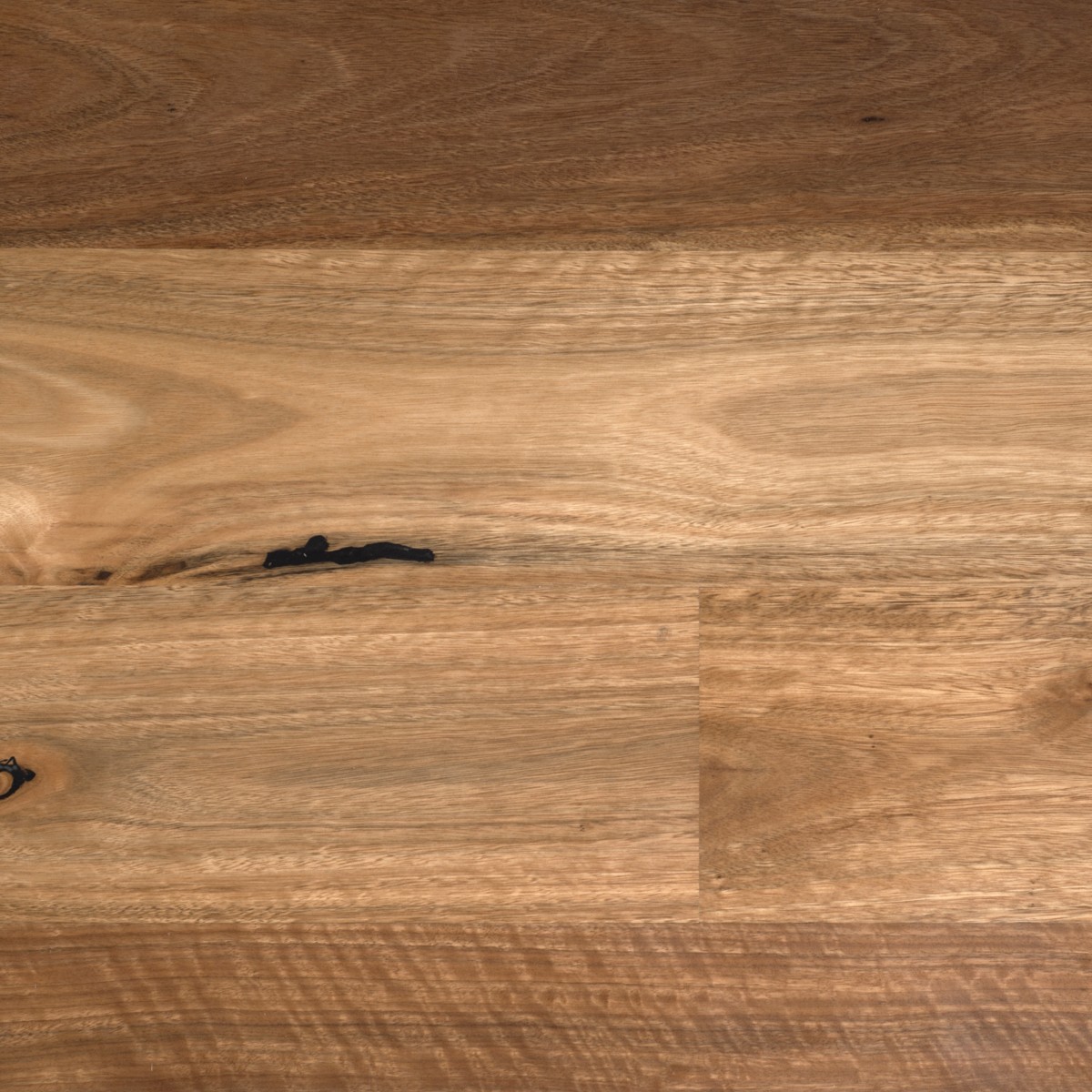 Tudorwoods Spotted Gum Matte Brushed engineered timber flooring Melbourne