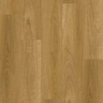 Eastern Blackbutt