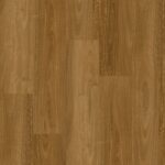 Eastern Spotted Gum